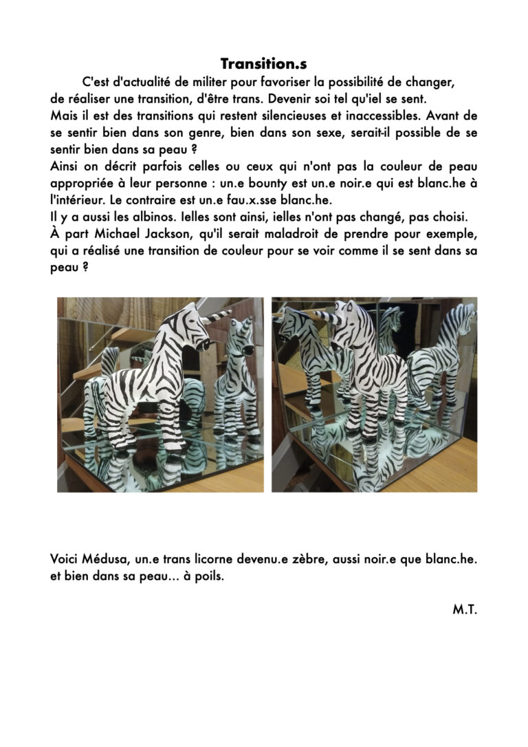 Transition.s.page_.1-768x1086 Journal #1 - Hiver 25/26