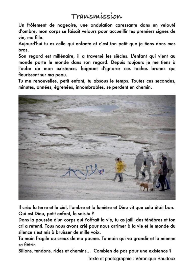 Transmission-768x1086 Journal #2 - Printemps 26
