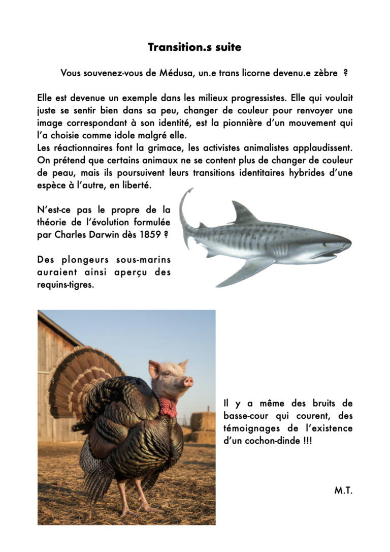 transition.s-suite-768x1086 Journal #2 - Printemps 26