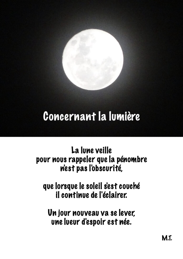 concernant-la-lumiere.1-768x1086 Journal #3 - Été 26