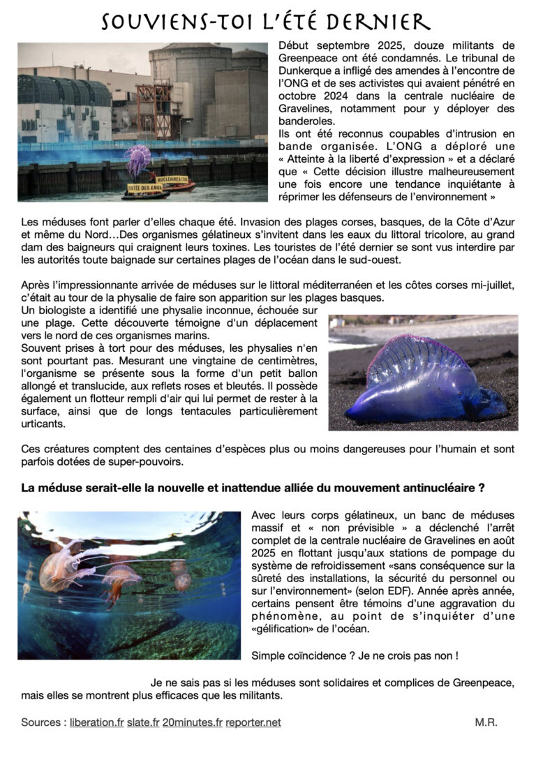 Meduses.1-768x1086 Journal #3 - Été 26
